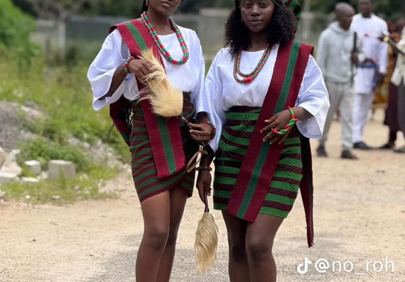 7d51dbd8fa8d5774d29b5413cfb37035